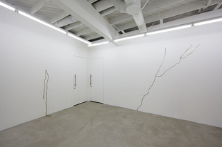 Lines and Cracks and Zebras and Horses Installation View ,Michael Genovese