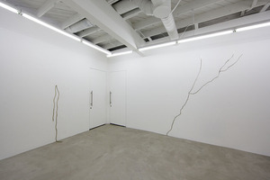 20130121194804-8_ohwow_genovese_installation_view