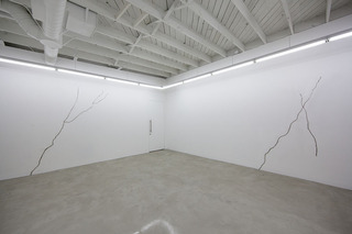 Lines and Cracks and Zebras and Horses Installation View ,Michael Genovese