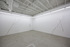 20130121194842-9_ohwow_genovese_installation_view