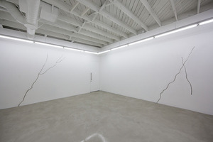 20130121194842-9_ohwow_genovese_installation_view