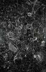 PS, Miami Art Museum ,Michael Genovese