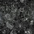 20130121203509-12genovese_ps_mam