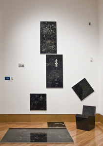 20130121203810-13genovese_galaxy