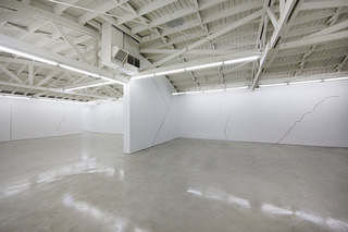 Lines and Cracks and Zebras and Horses installation view,Michael Genovese