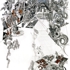 Ad018web