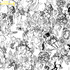 20130123124738-foreverivdetail