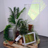 20130123132416-rgbparadises3_copy