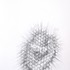 20130123150557-n_untitled_30x70cm