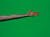 20130123165142-website-beeld