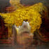 20130123175812-ccc-carniglia_soul_blind_2011_oil_on_canvas_63x81_inches