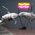 20130124015639-bruce_nauman_webb