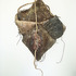 20130124042617-connie_dk_lane_1untitled_