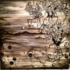 20130124044336-kellie_thomas-walker_4