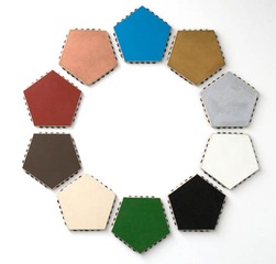Pentagonal Monochrome,Scoli Acosta
