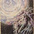 20130124224835-black_lion