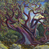 20130124233838-helen_stanley_at_seager_gray_gallery_manzanita
