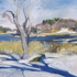 20130125011209-beaver_dam_sanctuary