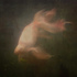 20130125111805-fish_in_my_sotmach