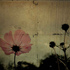 20130125112057-the_easiest_way