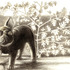 20130125161103-1_little_gem
