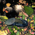 20130125162740-7_ophelia