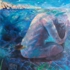 Woman_in_the_water_no