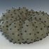 20130125202254-nodusa_crawl_2012