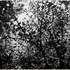 20130125220822-ez_sanctuary