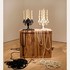 20130125234305-intersections-silverthorne-dna-candelabra