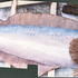 20130126040400-fish_in_truck
