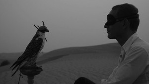 20130126082309-still_the-eye-of-dubai_lr-795x447