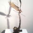 20130127030504-raphael