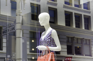 Maiden Lane,Ellen Lee