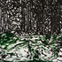 20130128233100-forestmysteries_60x80_2012