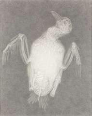 Dove (x-ray) No. 1,Tom Molloy