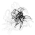 20130129063232-flower_face