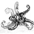 20130129064209-octopus
