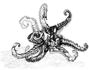 20130129064209-octopus