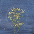 20130129175259-the_heaing_tree_2_mini