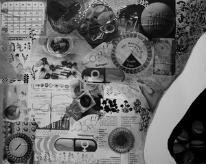 20130129182420-collage_2