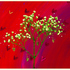 20130129200149-tree_of_love