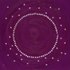 20130129200756-daisies_on_purple_rt3