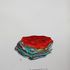 20130129201416-jewels1
