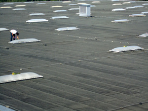 20130129203129-status1