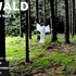 20130129235900-waldhkwnabiflyer