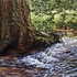 20130130121209-susannah_martin_crossing__8000