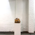 20130130124642-chris-hammerlein_2013_exhibitionview7_cruisecallas_web