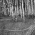 20130130180414-corruption_0014