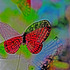 20130130200303-8719abcdef